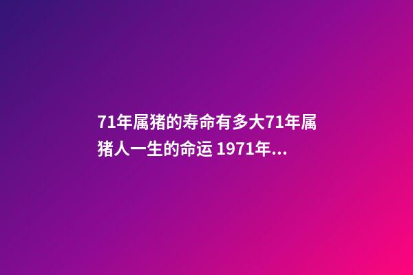 71年属猪的寿命有多大71年属猪人一生的命运 1971年属猪的命运怎么样,属猪人要远离哪些生肖-第1张-观点-玄机派